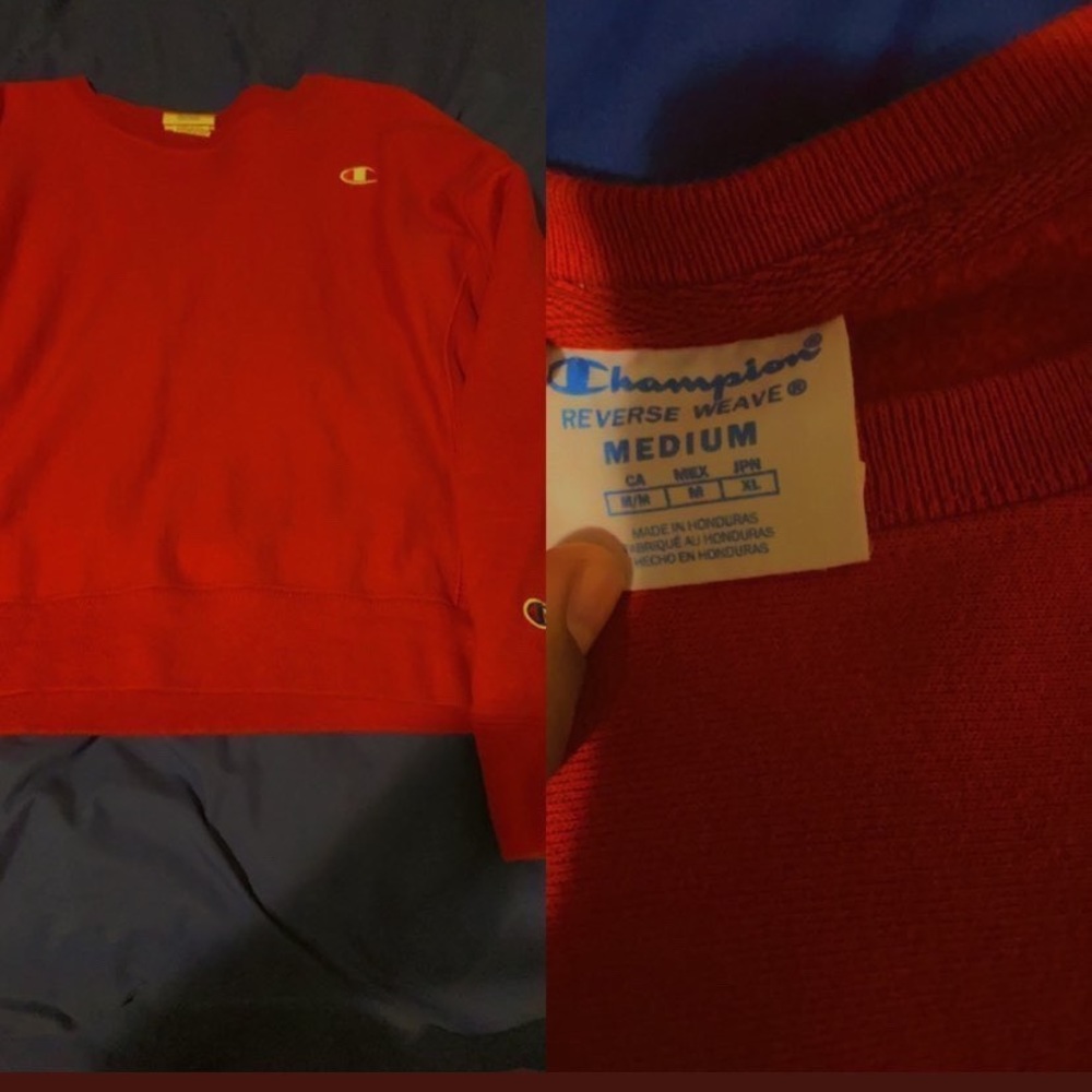 Champion Sweater